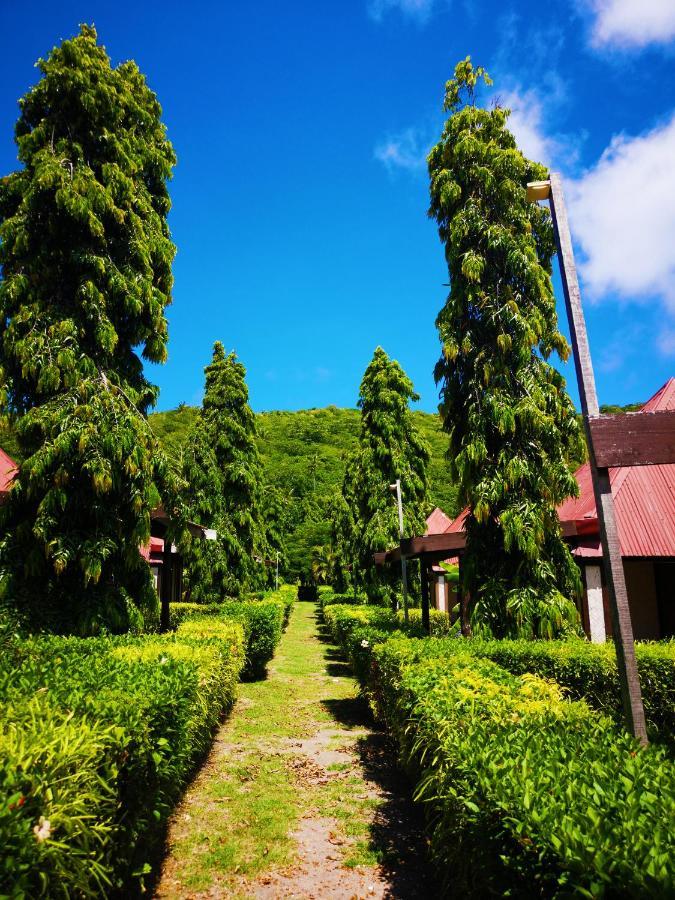 Coralview Island Resort Tavewa Island Exterior foto